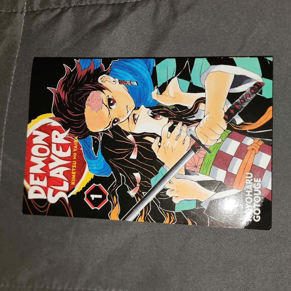 Demon Slayer: Kimetsu no Yaiba, Vol. 1 - Paperback By Gotouge, Koyoharu